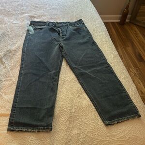 Highest rise straight wild fable size 18